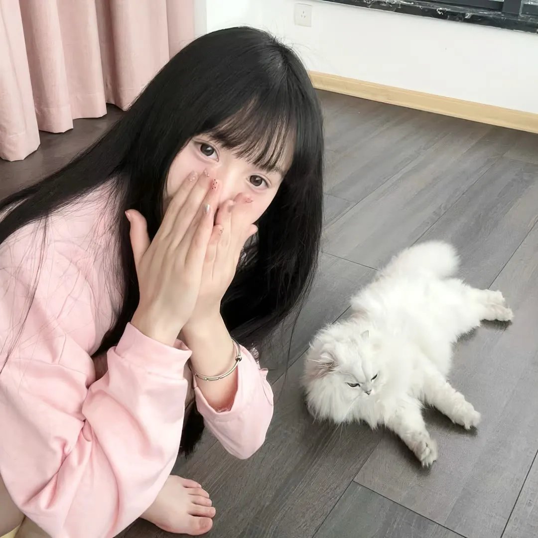 特斯拉笔记